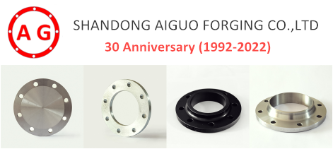 AG Flange - 30 वार्षिकोत्सव कार्निवल पदोन्नति!